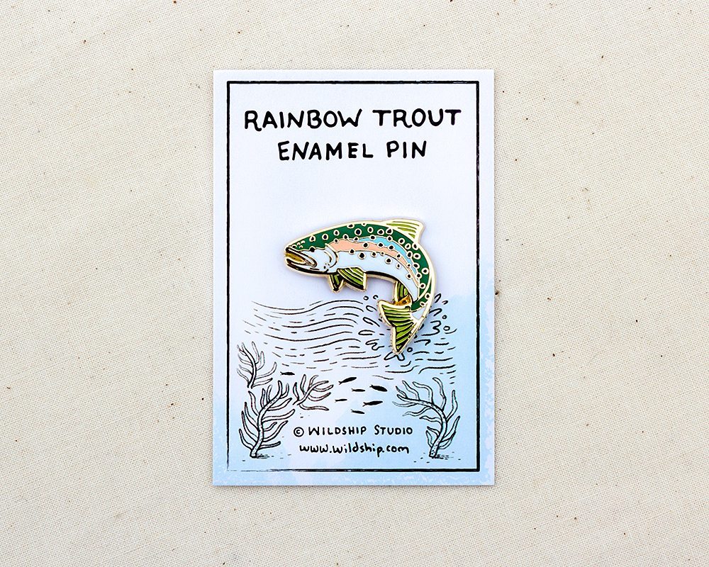 trout-rainbow03