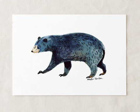a 5x7 nursery watercolor art painting print of blue black bear walking
