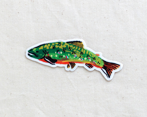 cute brook trout fish vinyl sticker by wildship studio