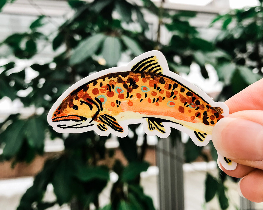 cute brown trout fish vinyl animal sticker art by wildship studio held against plants
