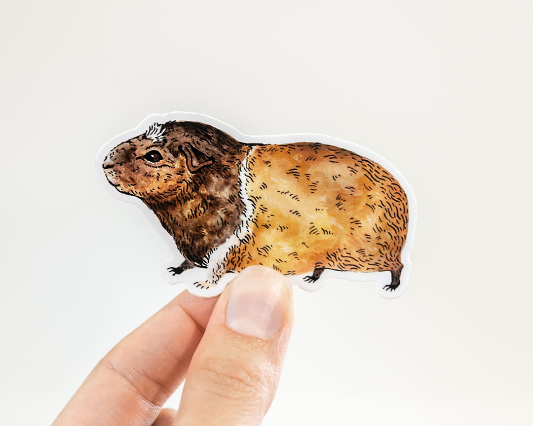 hand holding cute guinea pig vinyl animal sticker by wildship studio