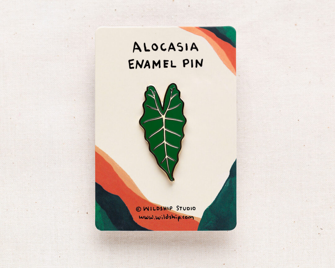 alocasia-green-backing